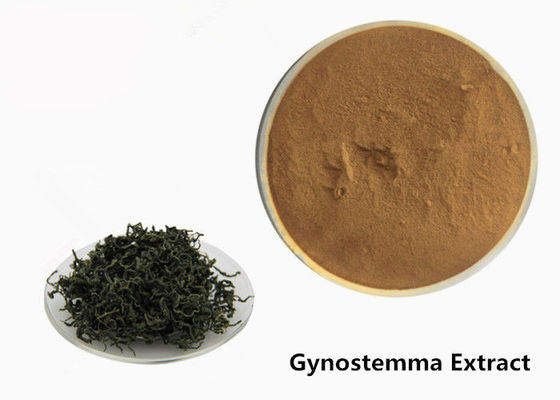 Porcellana Polvere di erbe dell'estratto di Gynostemma dell'anti tumore del commestibile fornitore