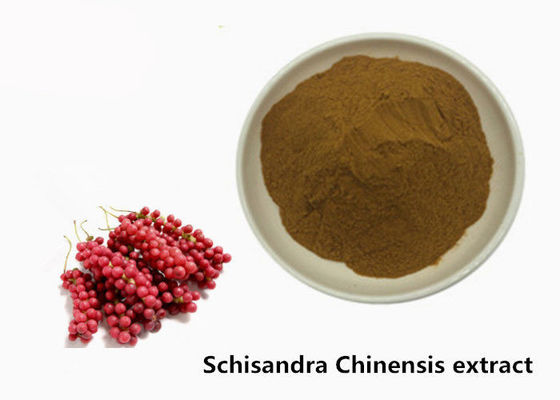 Porcellana Polvere chinensis dell'estratto della pianta di Hepatoprotective 5,2% Schisandra fornitore