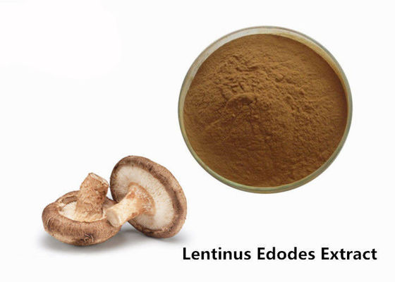 Porcellana Anti polvere dell'estratto del fungo di shiitake del commestibile di affaticamento fornitore
