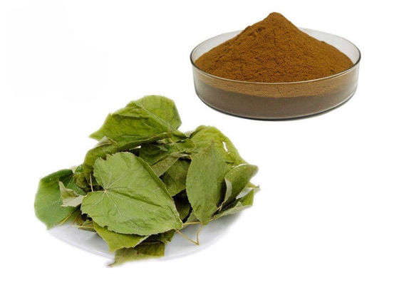 Porcellana Polvere di erbe dell'estratto della capra di CAS 489-32-7 di epimedium corneo dell'erbaccia fornitore