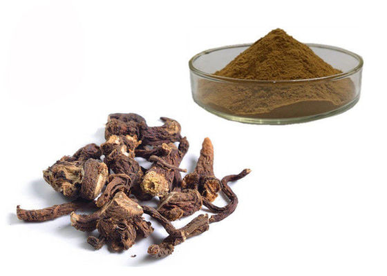 Porcellana Polvere di erbe dell'estratto della radice organica solubile in acqua del dente di leone fornitore