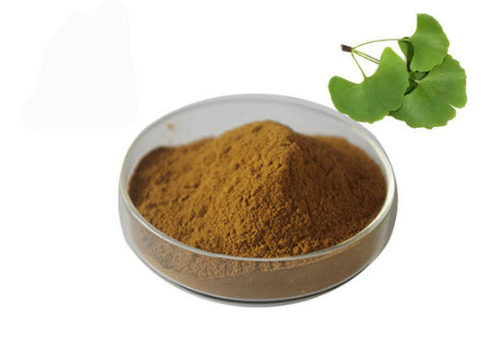 Porcellana Polveri sfuse del ginkgo biloba di pressione sanguigna di Owering fornitore
