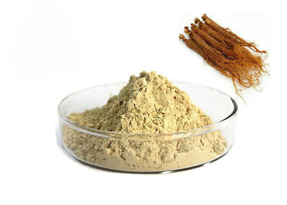 Porcellana Estratto rosso del ginseng di ginsenosidi di 10% fornitore