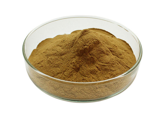Polveri sfuse del ginkgo biloba di pressione sanguigna di Owering fornitore