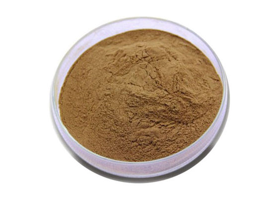 Regoli l'estratto standardizzato ginkgo biloba della lipemia 24/6 fornitore