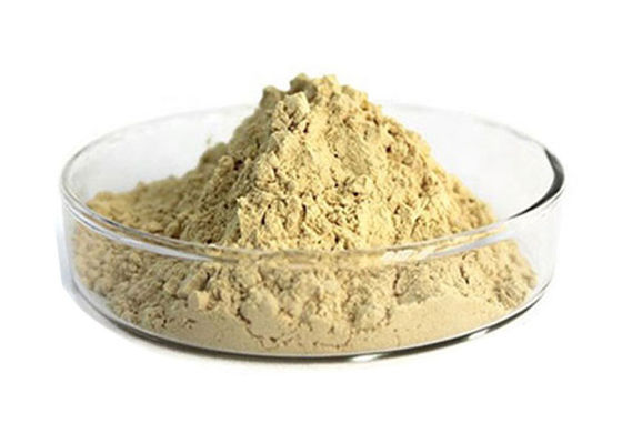 Estratto rosso del ginseng di ginsenosidi di 10% fornitore