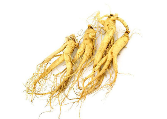 Polvere naturale dell'estratto del ginseng della radice farmaceutica di 80% Panax fornitore