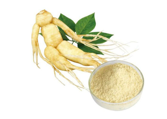 Polvere di erbe pura della radice del ginseng di ginsenosidi di CAS 90045-38-8 80% fornitore