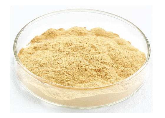 Polvere dell'estratto del ginseng di Panaxoside del commestibile per i prodotti di salute fornitore