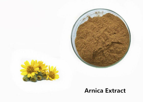 Polvere dell'estratto della pianta dell'arnica fornitore