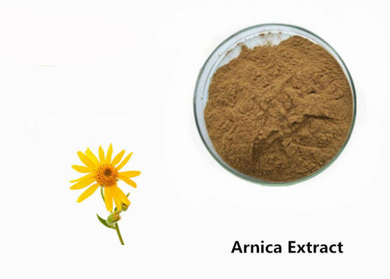 Polvere dell'estratto della pianta dell'arnica fornitore