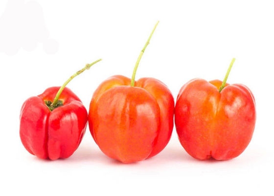 Polvere naturale dell'estratto della frutta della ciliegia del Acerola di Colleen Fitzpatrick 17% 25% fornitore