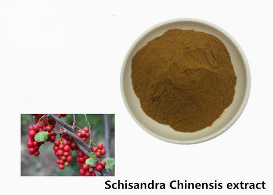 Polvere chinensis dell'estratto della pianta di Hepatoprotective 5,2% Schisandra fornitore
