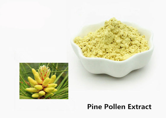 Polvere naturale dell'estratto del polline del pino di sanità 1kg fornitore