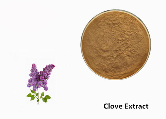 Polvere dell'estratto della pianta del fiore del chiodo di garofano di Brown per l'additivo alimentare fornitore