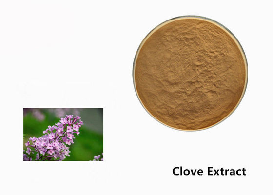 Polvere dell'estratto della pianta del fiore del chiodo di garofano di Brown per l'additivo alimentare fornitore