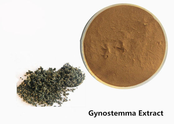 Polvere di erbe dell'estratto di Gynostemma dell'anti tumore del commestibile fornitore