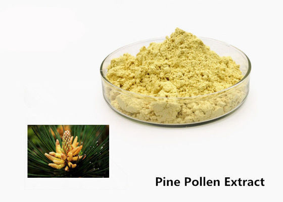 Polvere naturale dell'estratto del polline del pino di sanità 1kg fornitore