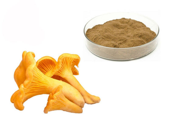 Polvere dell'estratto del fungo di Chantarelle dei polisaccaridi di 30% fornitore