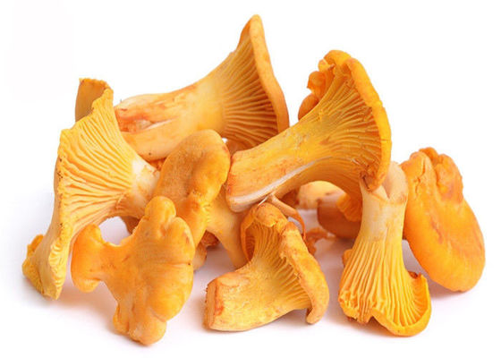 Polvere dell'estratto del fungo di Chantarelle dei polisaccaridi di 30% fornitore