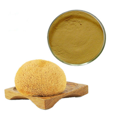 Polvere del fungo della criniera dei leoni organici dell'anti 50% beta glucano virale di D fornitore