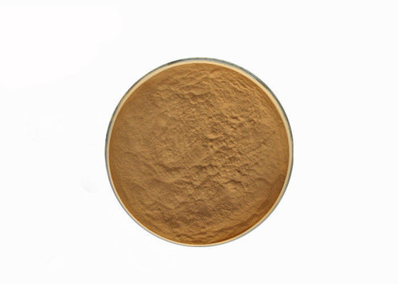 Polvere dell'estratto del fungo dei polisaccaridi del Erinaceus 10% di Hericum fornitore
