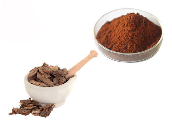 Polvere dell'estratto della corteccia del pino di proantocianidine 95% fornitore