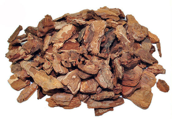 Polvere dell'estratto della corteccia del pino di proantocianidine 95% fornitore