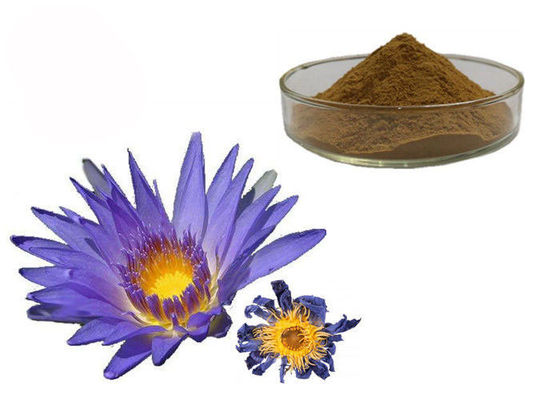 Estratti di erbe organici di Lotus di blu polvere del fiore di Caerulea della nymphaea fornitore