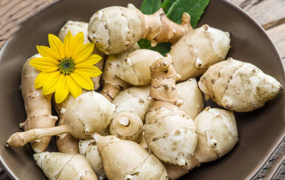 Polvere dell'estratto vegetale dell'inulina fornitore