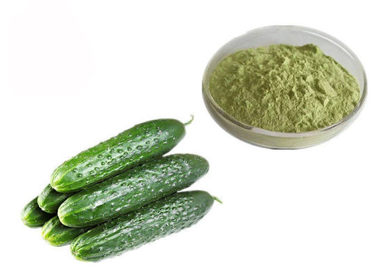 Estratto sativus della frutta del Cucumis solubile in acqua antinvecchiamento per pelle fornitore