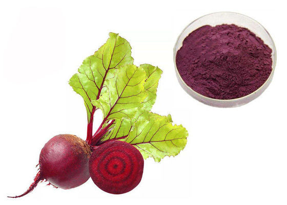 Polvere rossa dell'estratto vegetale della barbabietola tumore naturale del pigmento dell'anti fornitore
