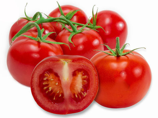 Il licopene 502-65-8 di 6% 10% 20% ha disidratato l'estratto della frutta del pomodoro fornitore