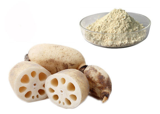 Polvere naturale pura dell'estratto dell'ortaggio a radici di Lotus della sostituzione del pasto fornitore
