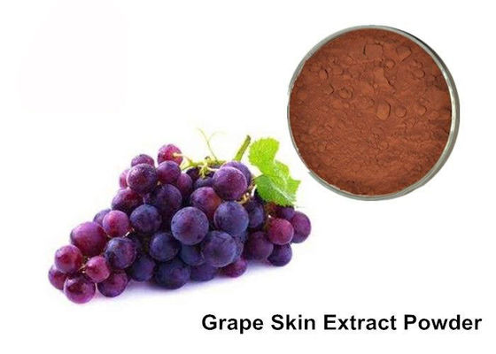 Seme d'uva degli antociani di 25%/polvere puri dell'estratto pelle dell'uva fornitore