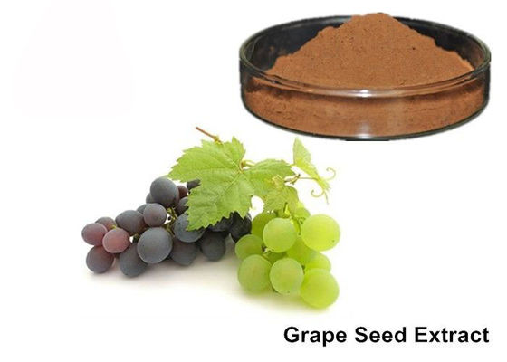 Seme d'uva degli antociani di 25%/polvere puri dell'estratto pelle dell'uva fornitore