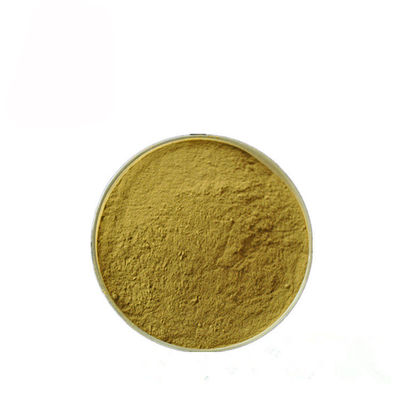 Polvere dell'estratto dell'antociano della foglia di Sylvestre del Gymnema per farmaceutico fornitore