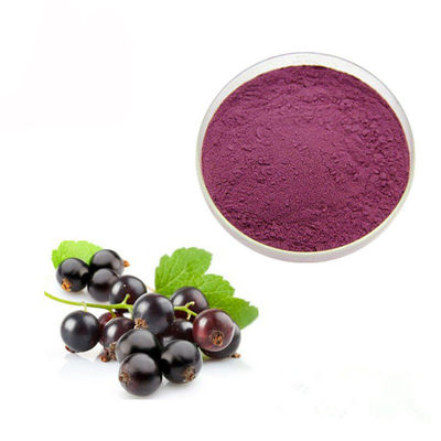 Polvere concentrata dell'estratto dell'antociano del ribes nero 10% del succo fornitore