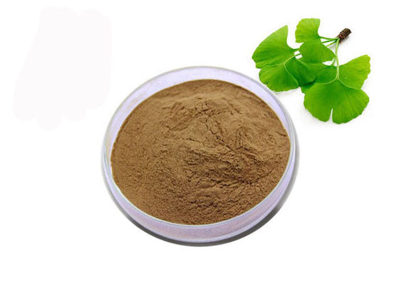 Polvere organica del ginkgo biloba del grado di USP fornitore