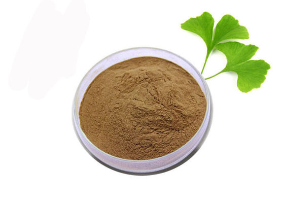 Polvere pura dell'estratto del ginkgo biloba dell'anti ossidante del grado medico fornitore