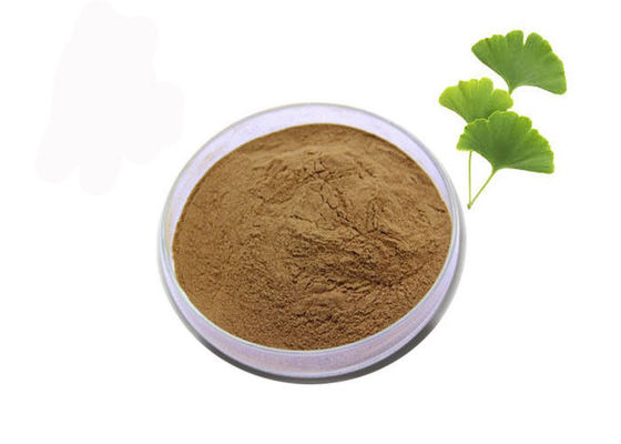 Regoli l'estratto standardizzato ginkgo biloba della lipemia 24/6 fornitore