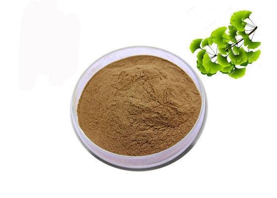Polvere asciutta organica dell'estratto del ginkgo biloba delle foglie di CAS 90045-36-6 fornitore