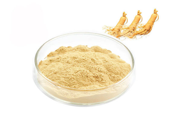 Polvere naturale dell'estratto del ginseng fornitore
