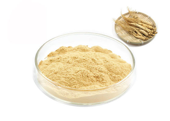 Estratto puro del ginseng di ginsenosidi siberiani organici della radice 30% 80% fornitore