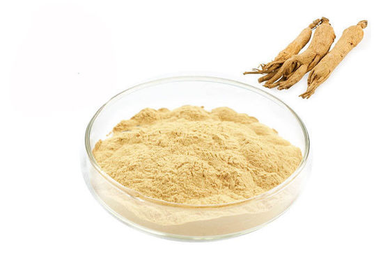 Sanità che migliora la polvere immune dell'estratto del ginseng della radice fornitore