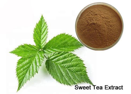 Polvere naturale del dolcificante del tè dolce del rene 80% Rubusoside di Tonify fornitore
