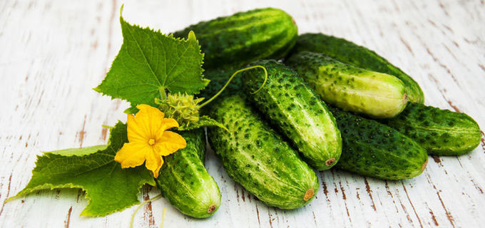 Estratto sativus della frutta del Cucumis solubile in acqua antinvecchiamento per pelle 0