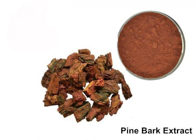 Polvere antinvecchiamento dell'estratto della corteccia del pino del cemento Portland comune per i cosmetici 0