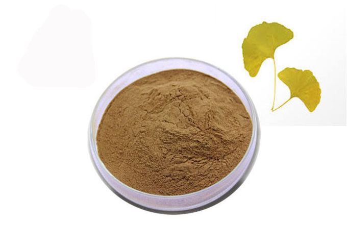 Polvere naturale pura dell'estratto del ginkgo biloba dei lattoni dei flavoni 6% di 24% 0
