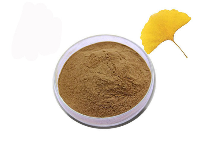 Polvere farmaceutica dell'estratto del ginkgo biloba del grado per la sanità 0